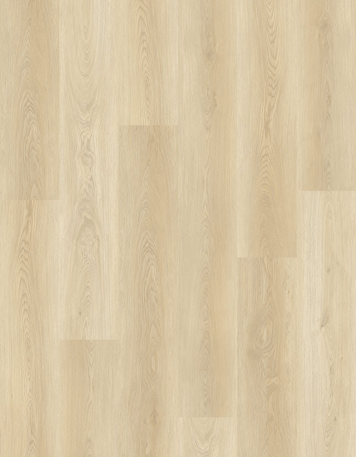 Builders Collection Cream flooring